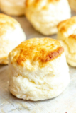 The Best Ideas for Gluten Free Biscuit Recipe