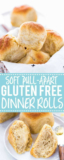 The top 20 Ideas About Gluten Free Dinner Roll Recipes