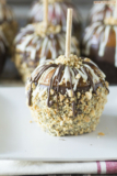 The top 30 Ideas About Gourmet Chocolate Caramel Apples