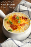 The Best Ideas for Hash Brown Potato soup Crockpot