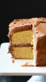 Best 22 Homemade Cake Recipes