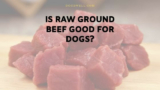 21 Ideas for is Ground Beef Good for Dogs