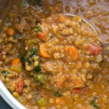 The 25 Best Ideas for Lentil Stew Instant Pot