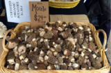 30 Of the Best Ideas for Price Of Morel Mushrooms