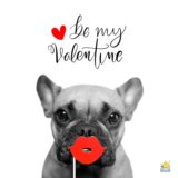 Top 20 Stupid Valentines Day Quotes