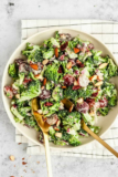 Top 20 Vegetarian Broccoli Salad