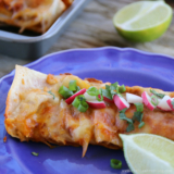 22 Ideas for Weight Watcher Enchiladas